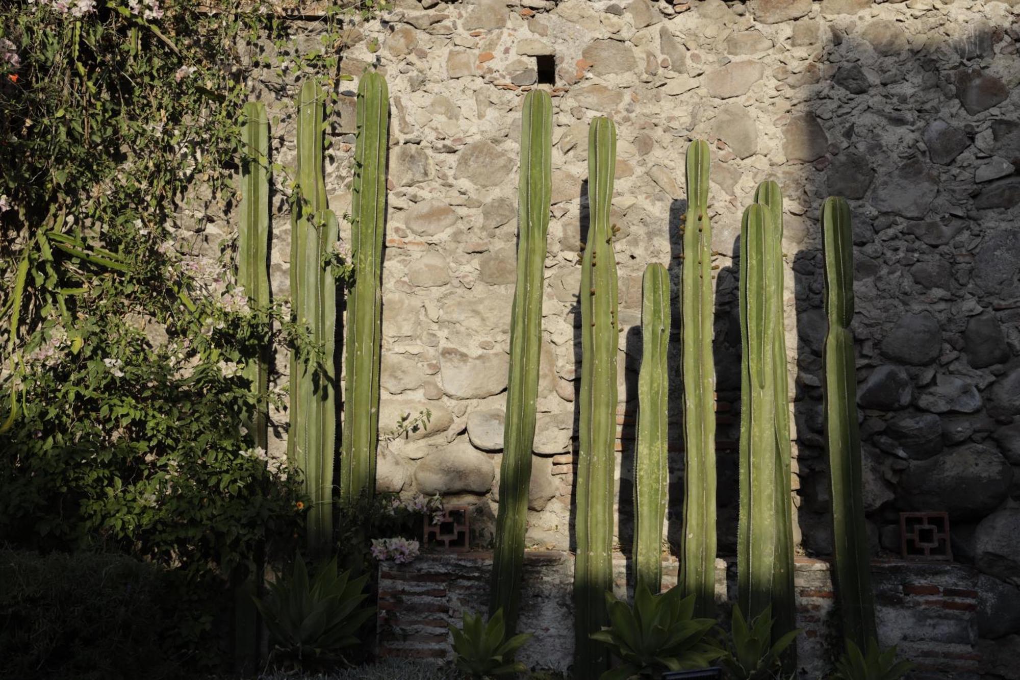 Orchid House San Miguel De Allende Hotel Exterior photo