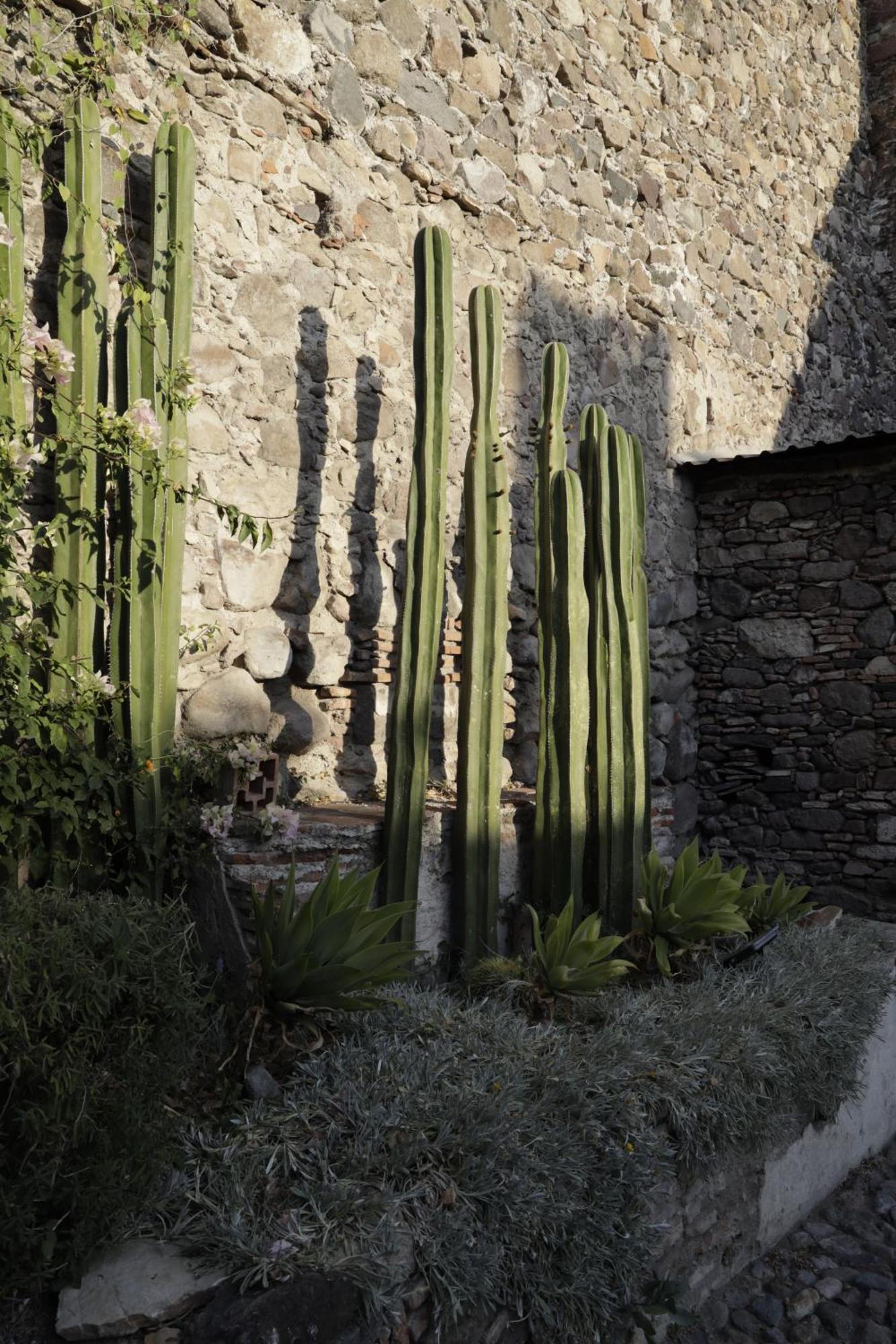 Orchid House San Miguel De Allende Hotel Exterior photo